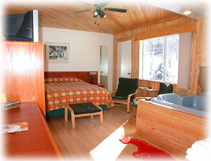 chambre avec jacuzzi double